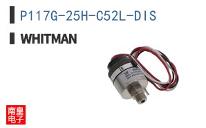 P117G-25H-C52L-DIS ͼƬ